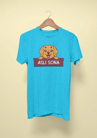 golden retriever asli sona sky blue