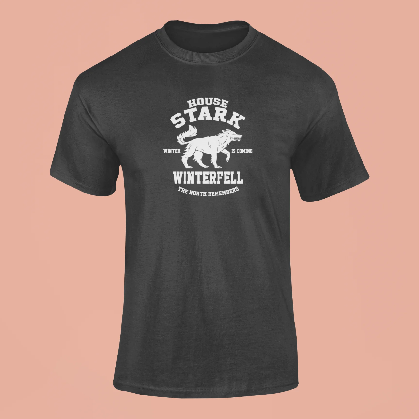 House Stark - Winter is coming T-Shirt